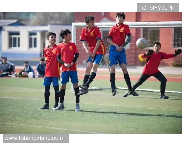 哈尔滨足球的崛起与发展探索：从地方联赛到全国舞台的奋斗历程