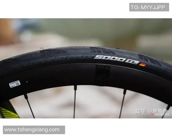 都灵与苏迪路的精彩对决分析与赛前展望